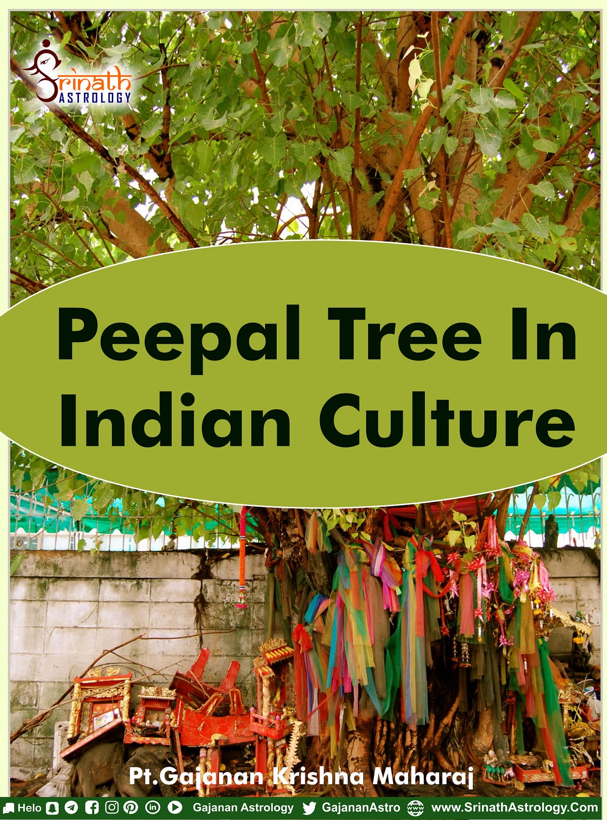 Peepal Tree Images