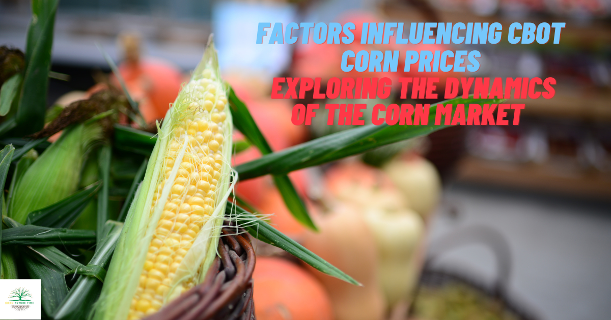 Factors Influencing CBOT Corn Prices Exploring the Dynamics of the