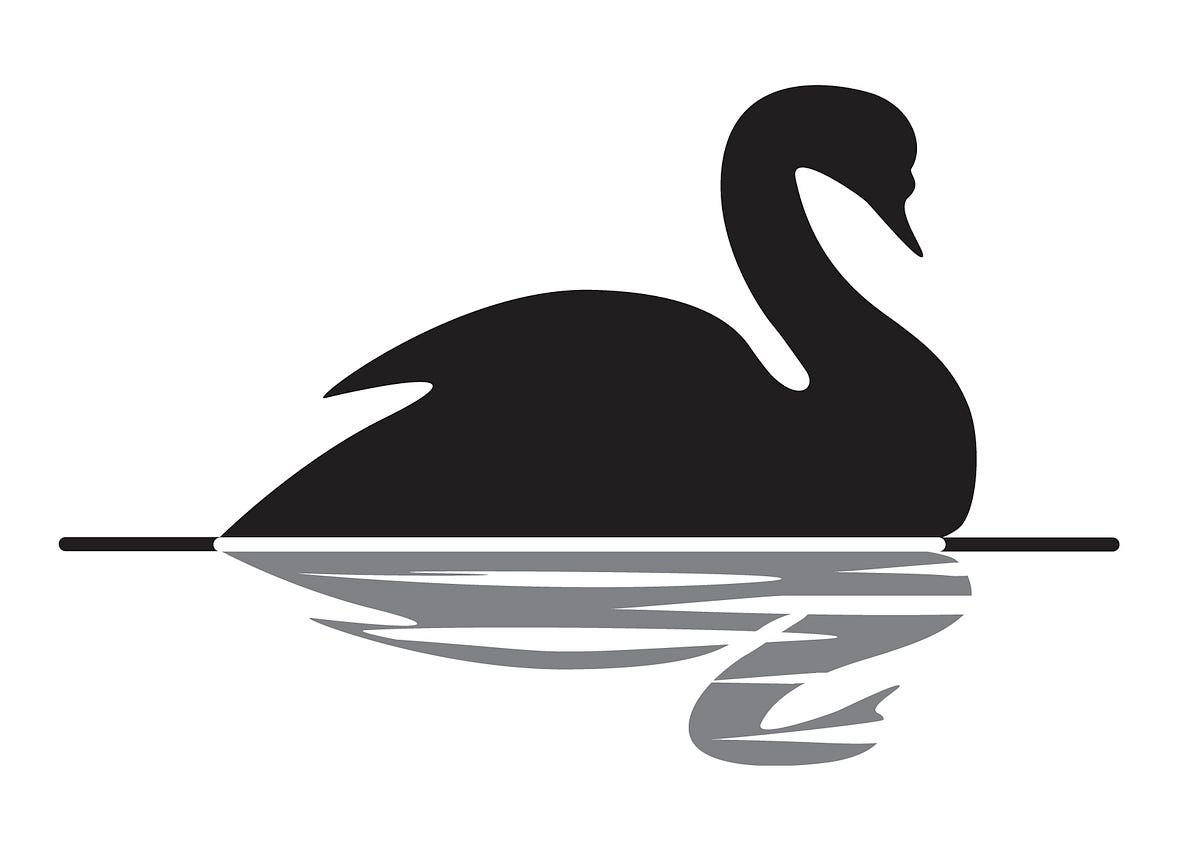 Black Swan Theory: Navigating the Unpredictable | by Muhammet
