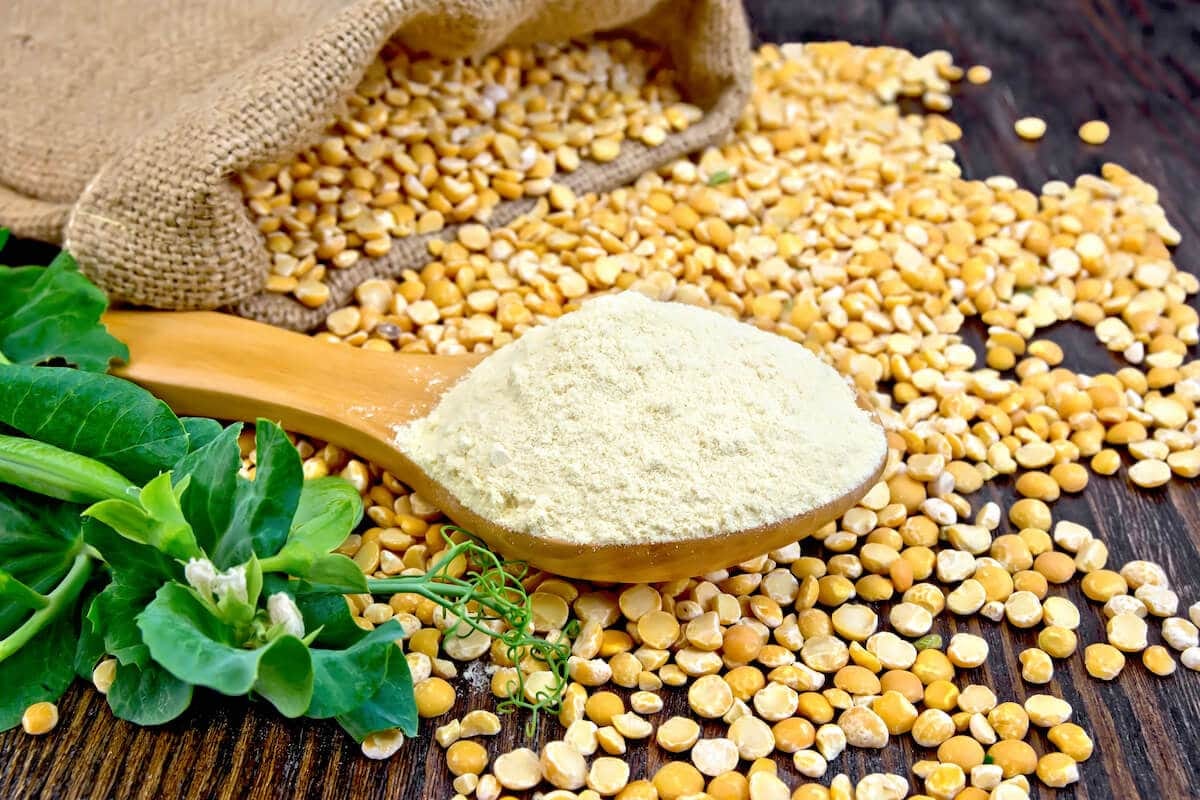 Pea Protein Powder Manufacturing Plant Project Report 2024, Business Plan, Manufacturing Process