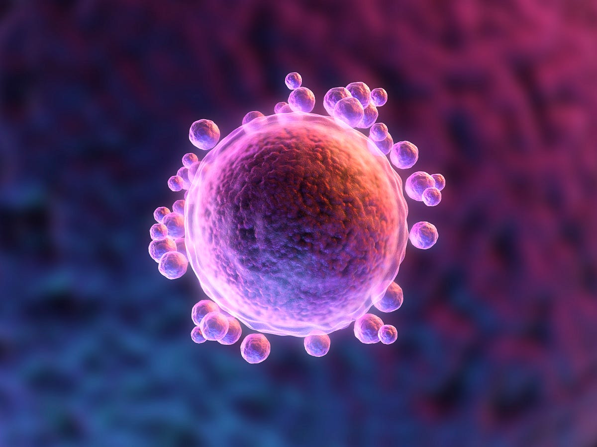 Image of: When It Comes to Fertility, Is More Information Really Best?