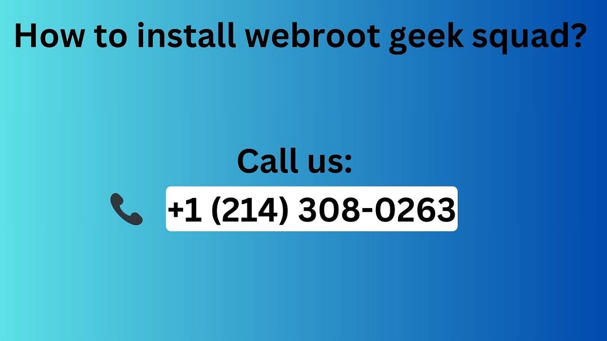 Geek Squad Webroot Install 1