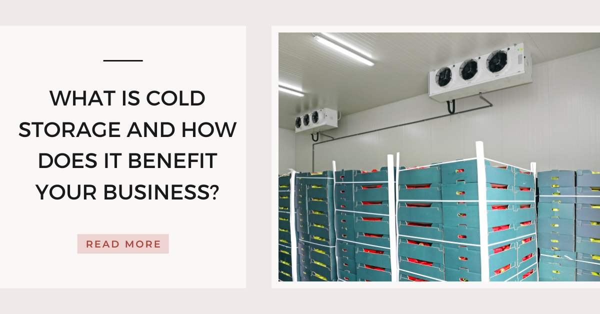 What Is Cold Storage and How Does It Benefit Your Business? by