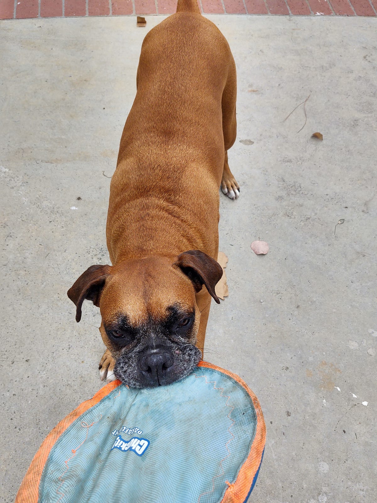 What Should I Do With My Rage?. The monsters are winning by Susan