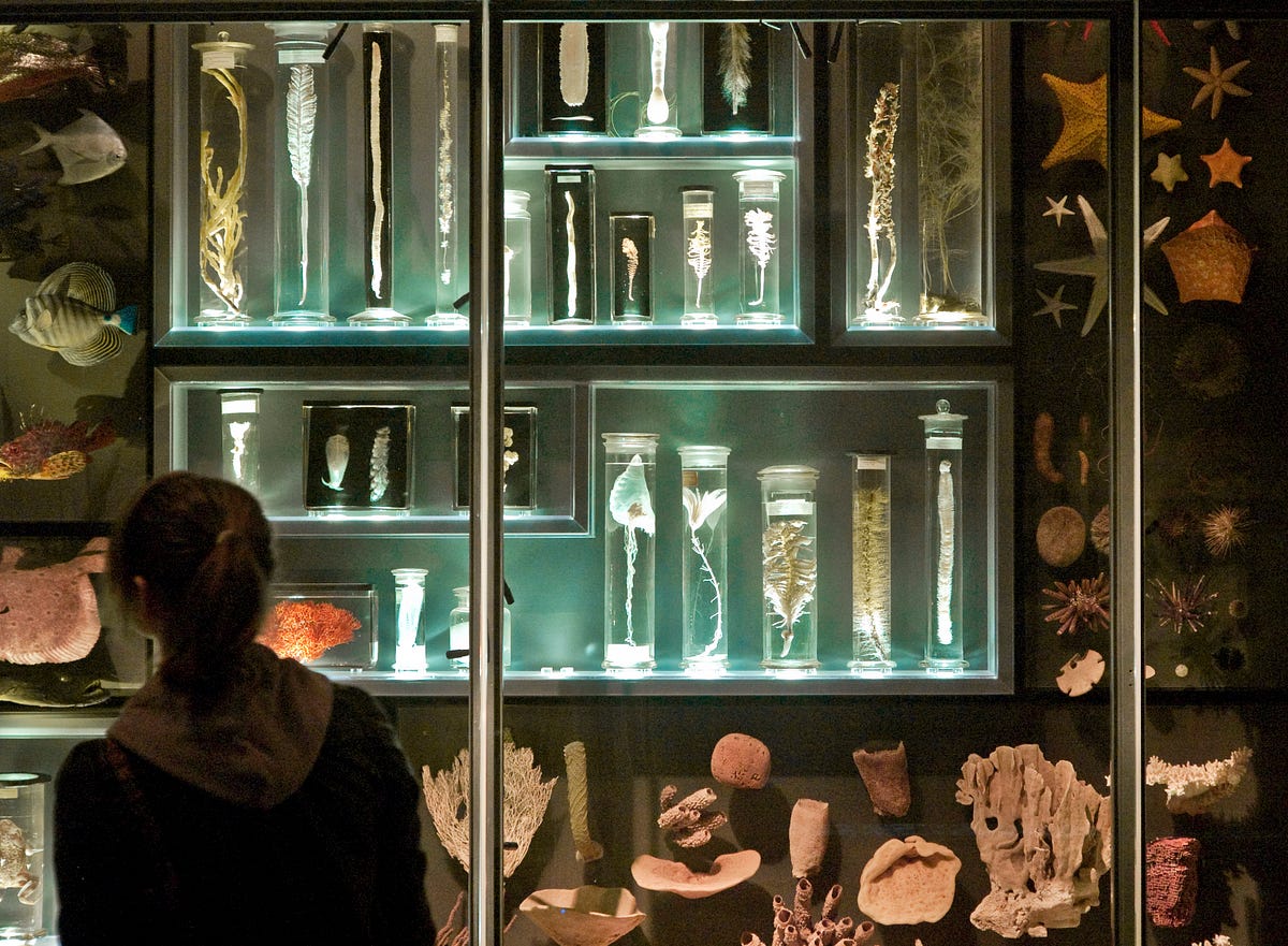 Hearing the wall fall. What was the Berlin Wall up against? by