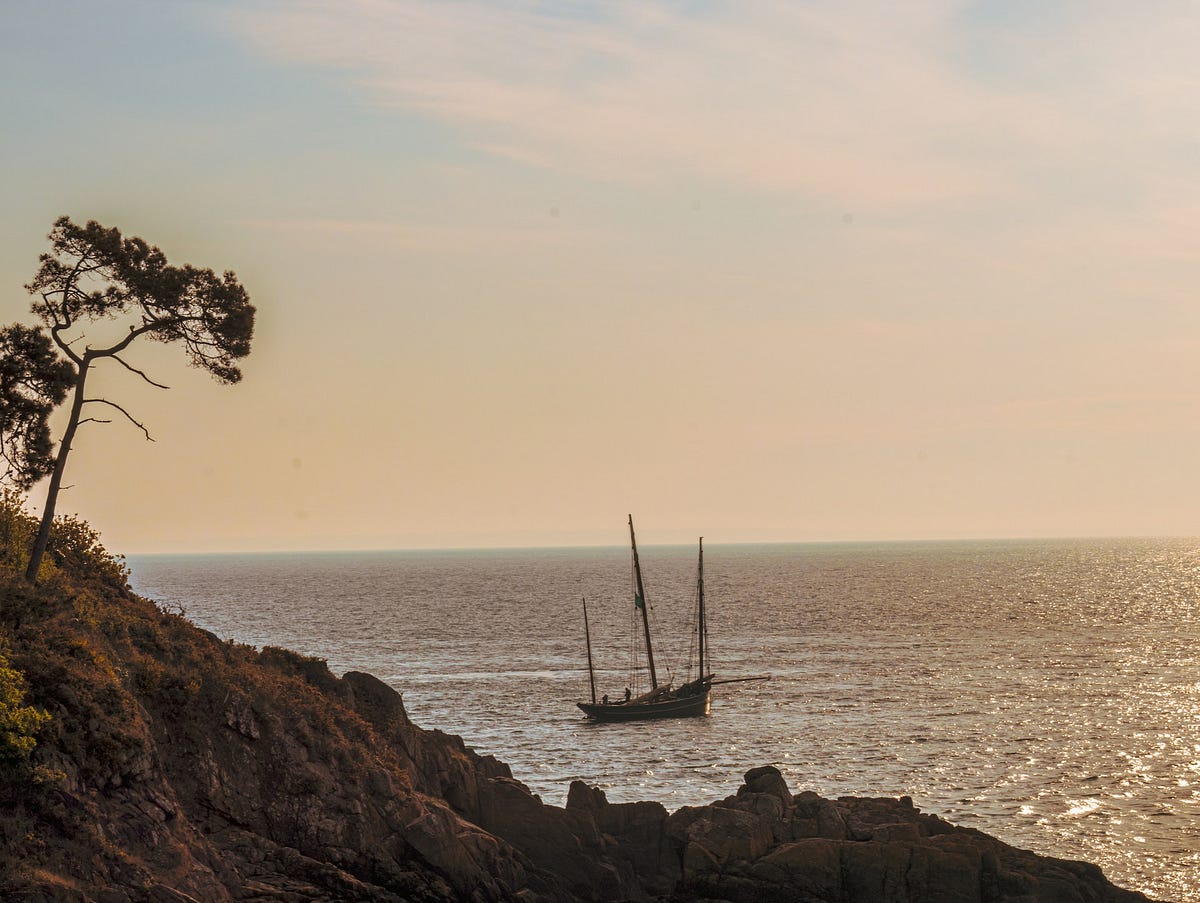 Lost at Sea The Spooky Story of the Ghost Ship Octavius by Rahul