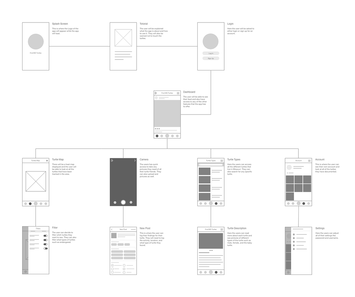 Flow Chart: Find MO Turtles | by Amber DeRousse | Medium