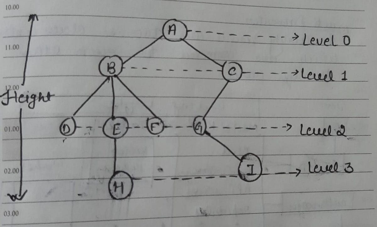 Trees( DSA). A Tree is a hierarchical data structure… | by Himanshi ...