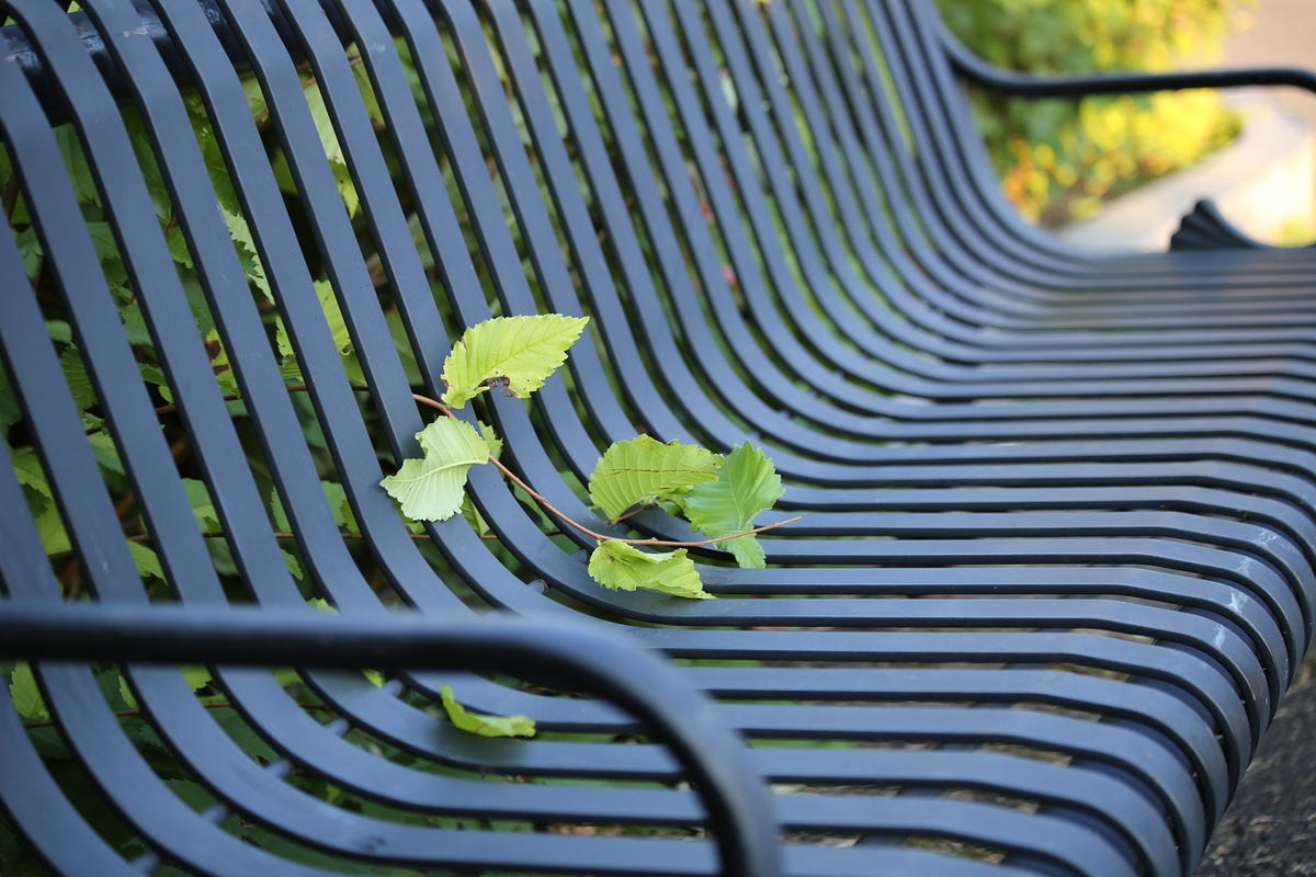 the-bench-a-child-s-view-of-god-can-a-child-change-our-whole-view-of