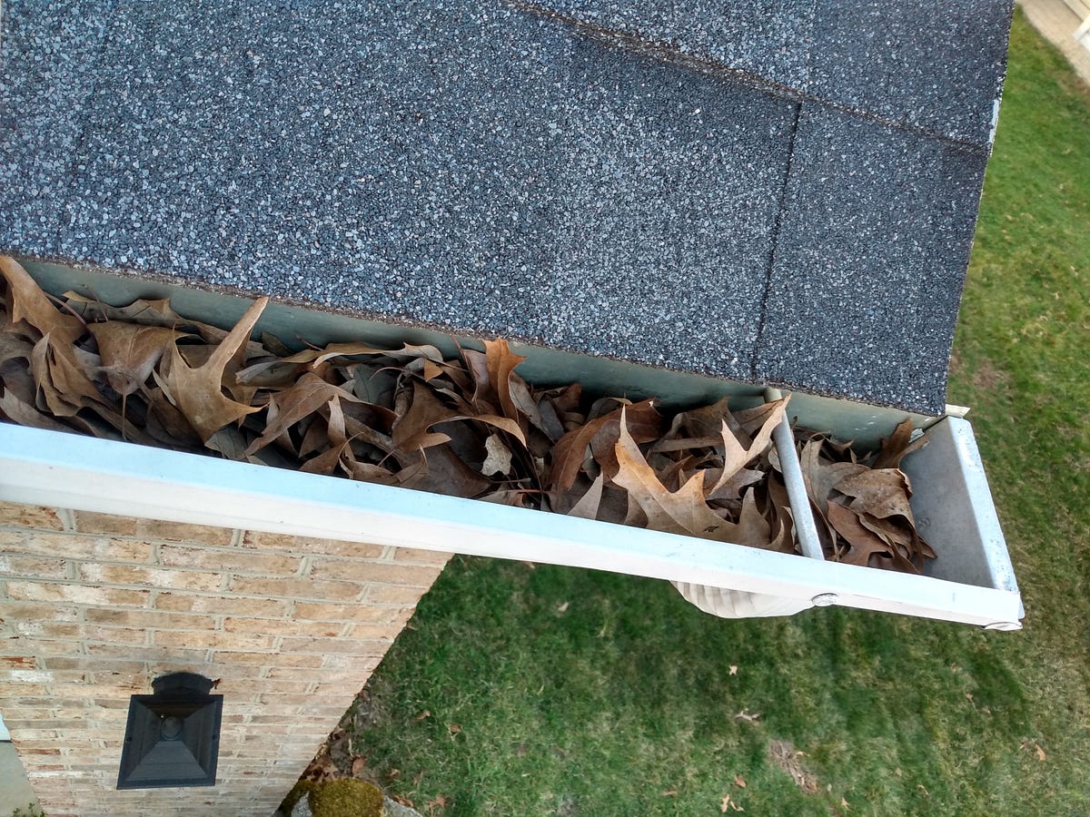 Should You Employ Clean Pro Hendersonville to Clean Up Your Gutter