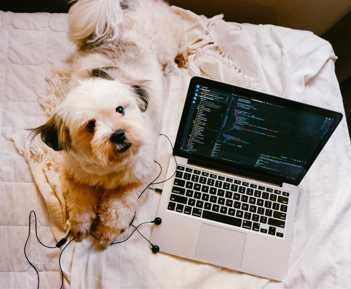 node-js-a-beginner-s-guide-essential-concepts-and-code-examples-by