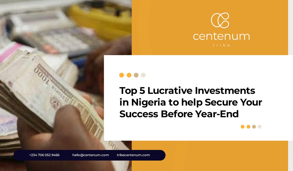 Top 5 Lucrative Investments in Nigeria to Help Secure Your Success