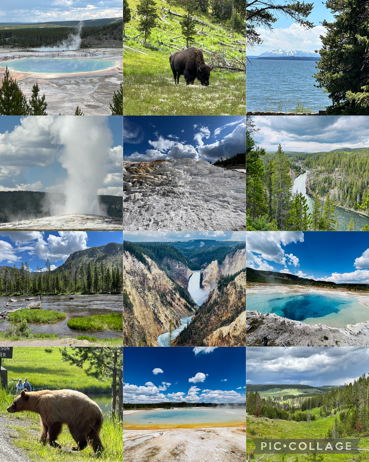 大峽谷＋黃石＋大提頓10 天9 夜. 來美國快三年了，因為疫情，家人錯過了我剛到美國的生活、轉學、畢業典禮，終於在台灣… | by Monsieur  Chou | Medium