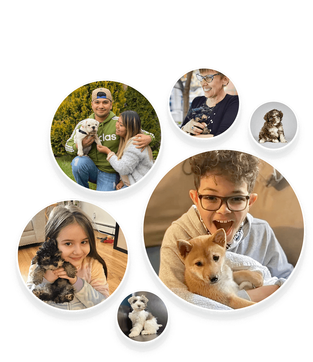 How Do You Know Which Dog Breed Is Right for You? by