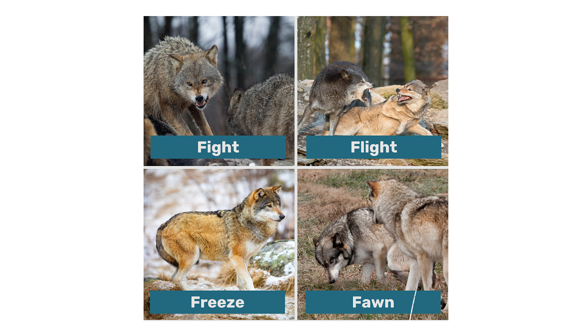 Fight, Flight, Freeze, Fawn. Our favorite fear responses on stage. | by ...