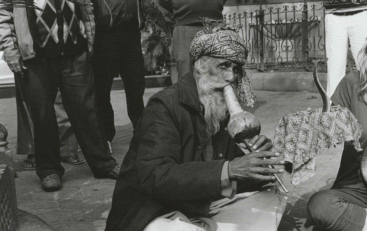 Snake Charmer Tori Azzaro By The York Review The York Review Medium
