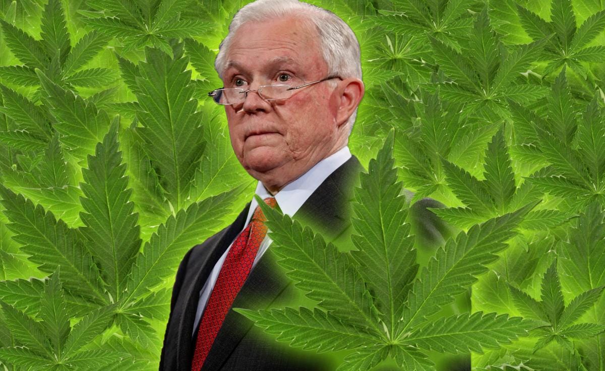 Crack Down On Pot Big Mistake Jeff Sessions That Little Weasel Is 