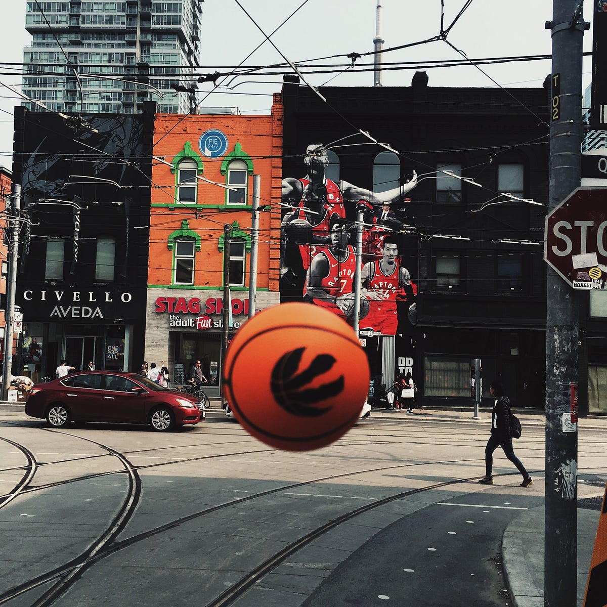 9 Rules to being a Raptors Fan. Raptors fandom has become so… | by Moko ...