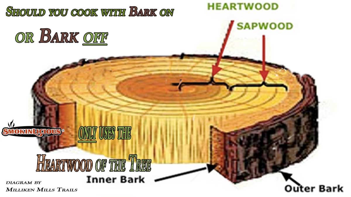 TO BARK OR NOT. Should I Cook with Bark on Woods or Go… | by 