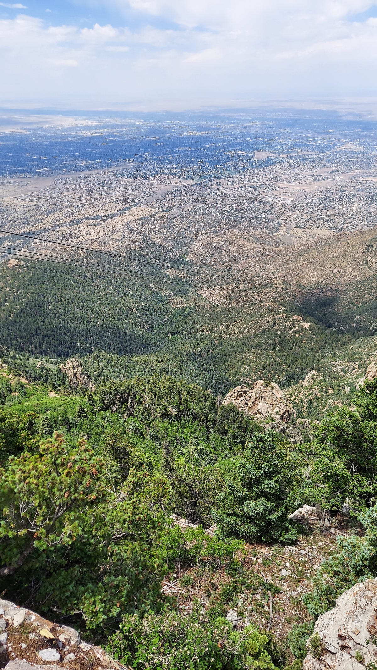 Navigating Life’s Distorted Perceptions | by Brenda H. | Know Thyself ...