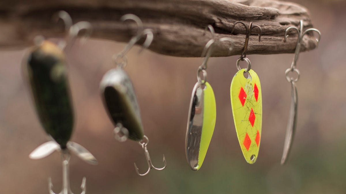 The best new fishing lures for 2019 by Medium