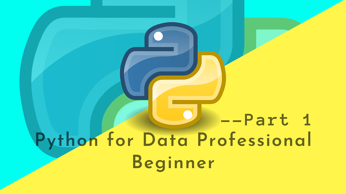 Python for Data Professional Beginner — Part 1 | by Dadan Dahman W ...