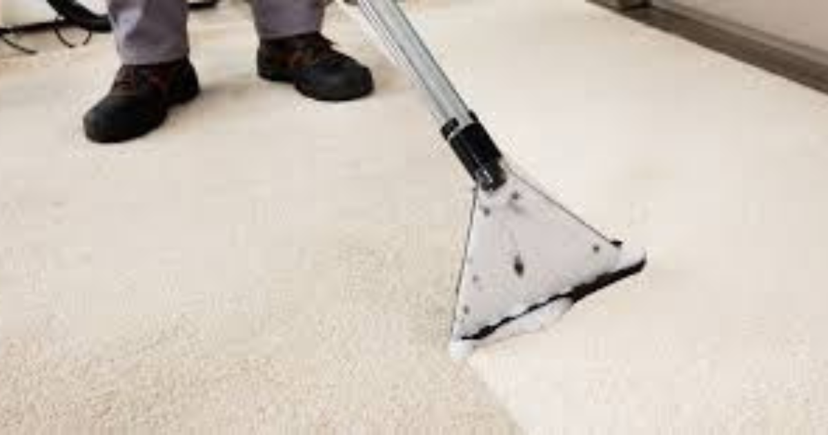 Superior Carpet Care in Berwick | Experience the Difference with Our