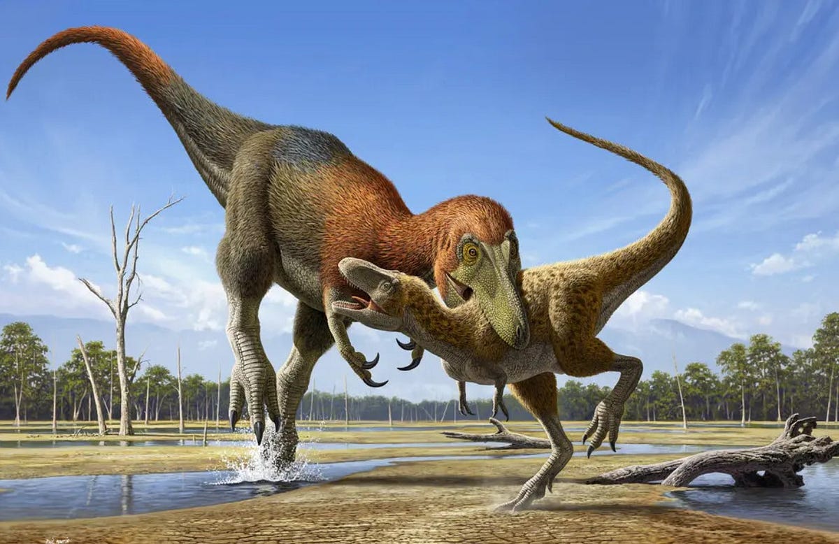 zoologist tyranosaurus rex ズーロジスト new___box_ab6a4ff3-d316-4b3a-