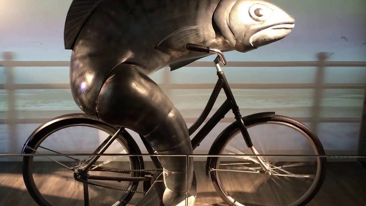 Of Fish and Bicycles — why we do sometimes need a man in our lives