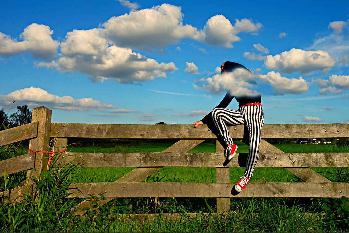 Mais qu’estce que cela veut dire ? by P. S. Medium