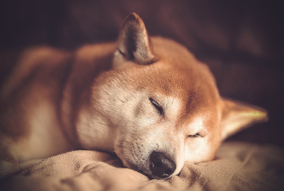 Will Shiba Inu Reach 1 Cent?. If you’ve heard of cryptocurrency… by