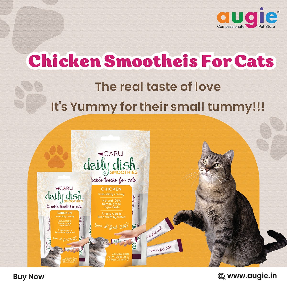 Chicken Smoothies For Cats Augie Pets Medium