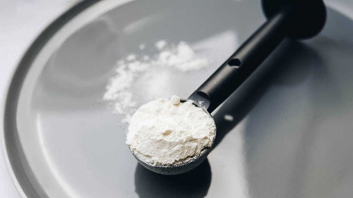 How Much Whey Protein Should I Take Daily Things Beginners Should Know