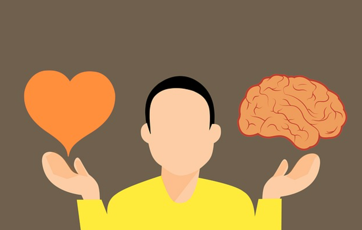 Google Data Analytics #3-Data Analysis Process | by I’m Katniss. | I’m ...