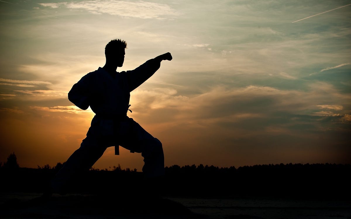 5 Styles Of Kung Fu You Should Learn by Richard Baron kung fu Medium