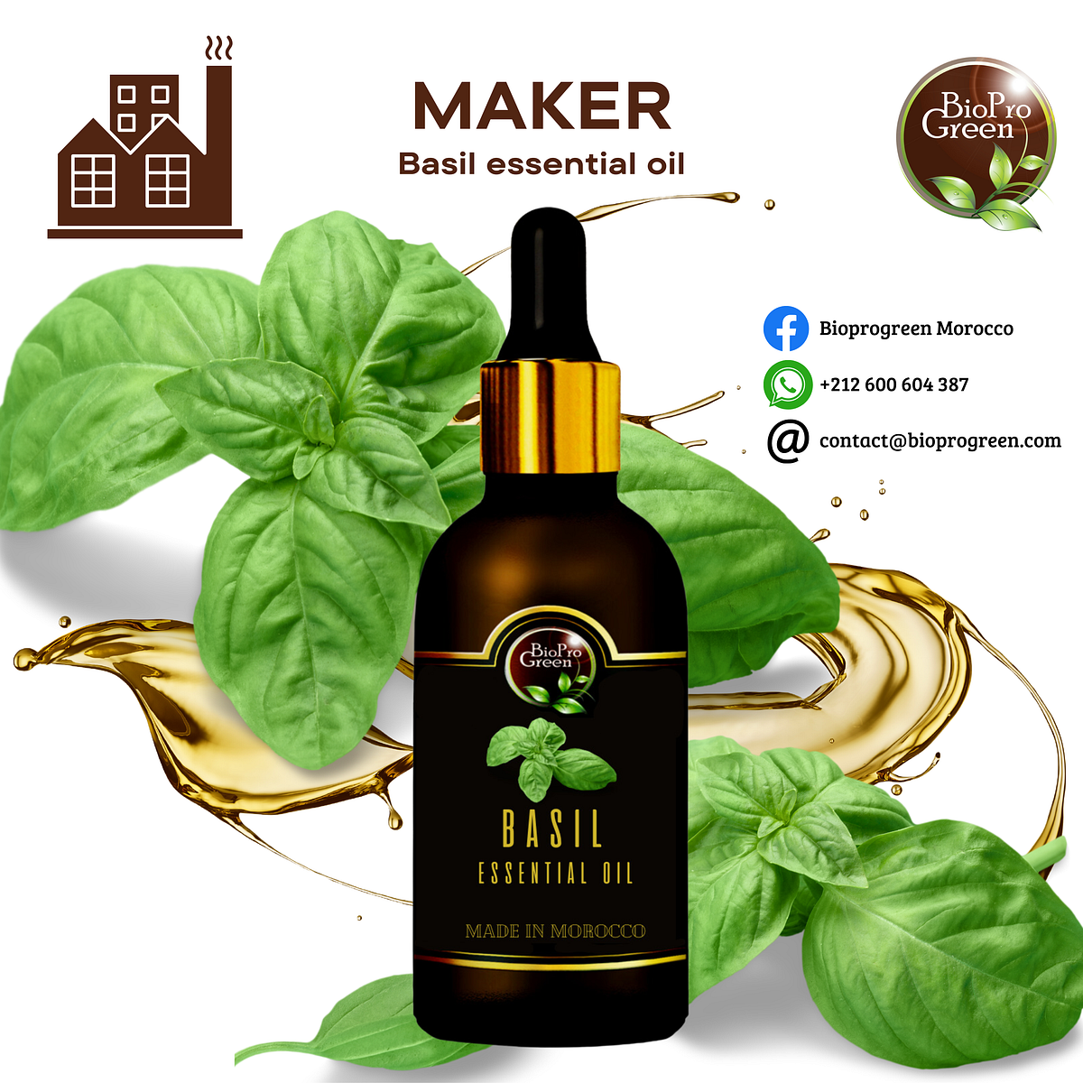 Basil essential oil for manufacturer by Oriental Group SARL AU Jul