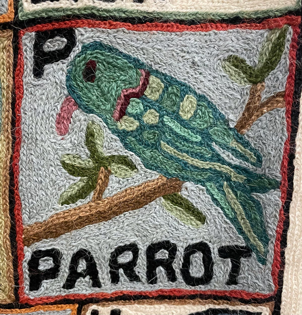 Passionate about Photography Parrots, Petting Zoos, Pink and Purple