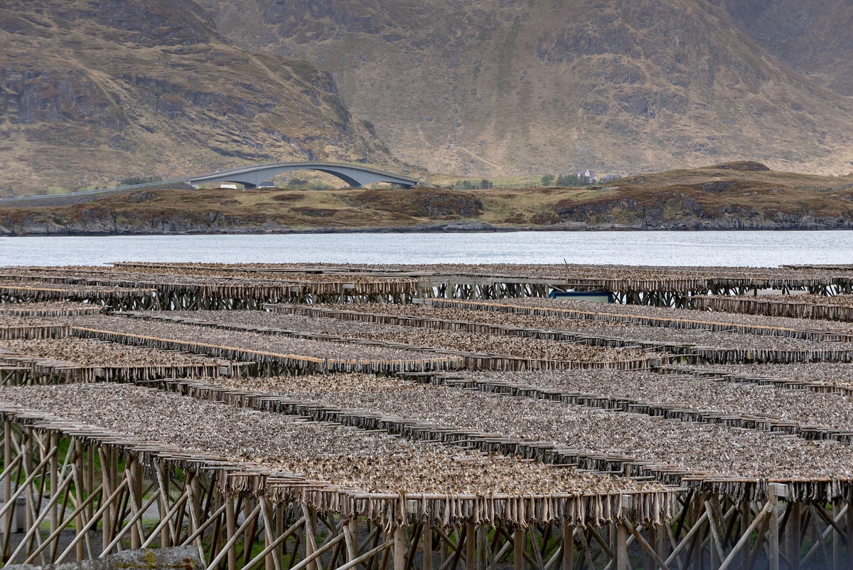 7 Quirky Nordic Foods, A Story Long Overdue | by Melissa Frost | In ...