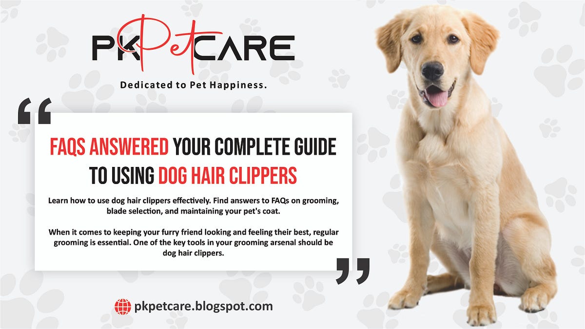 Your Complete Guide to Using Dog Hair Clippers FAQs Answered by Pk