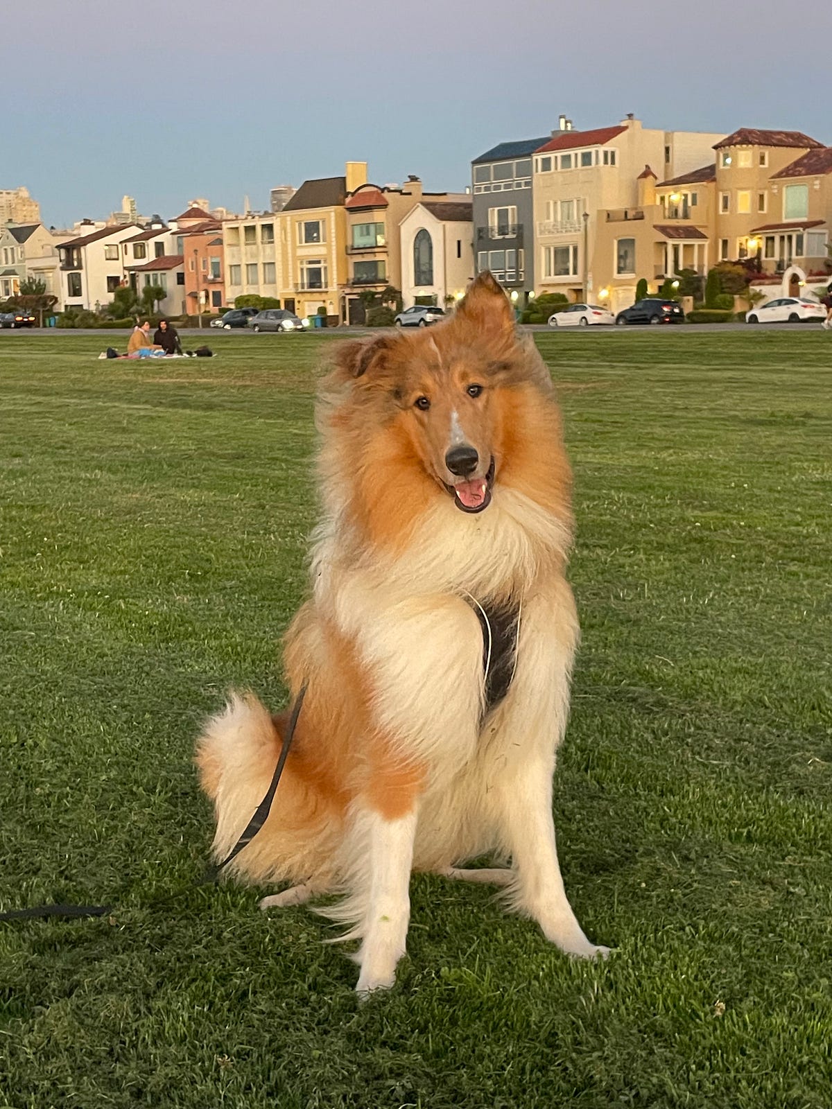 Prodigy Light Hack: Get The Best Illumination Now! - 2cu3zad