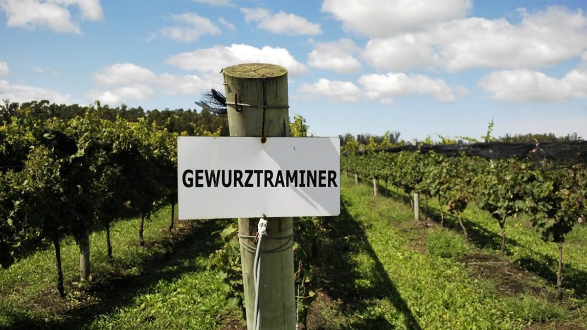 #QueSeCepa: Gewürztraminer (II) — Los vinos
