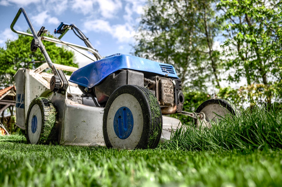 Why Leaving Your Lawn Clippings on the Ground Is Better for the by Synthia Stark