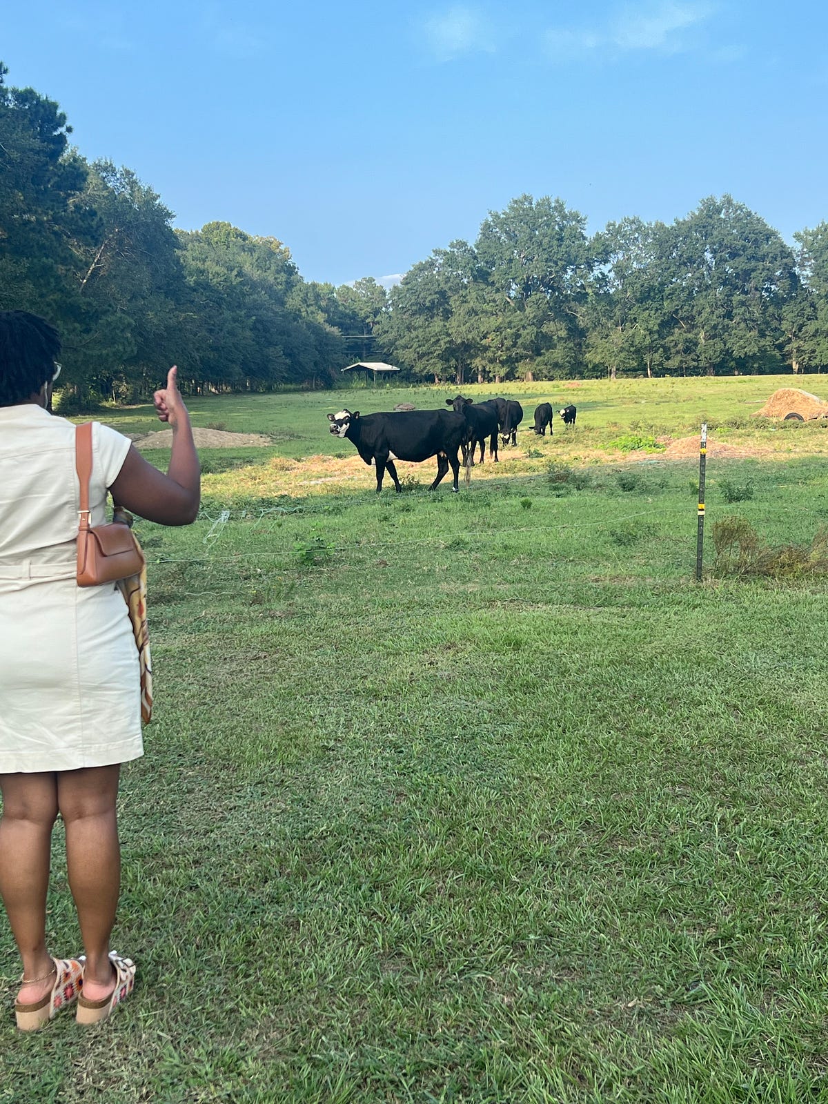 the-sophisticated-castaways-it-s-then-details-by-akayla-mckenzie