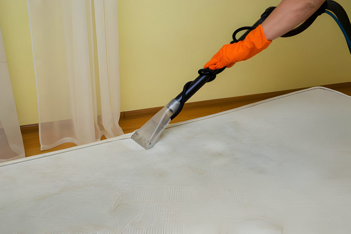 Chicago Carpet Cleaning Guide Tips for Spotless Living by Carpetcleaningchicago Mar, 2024