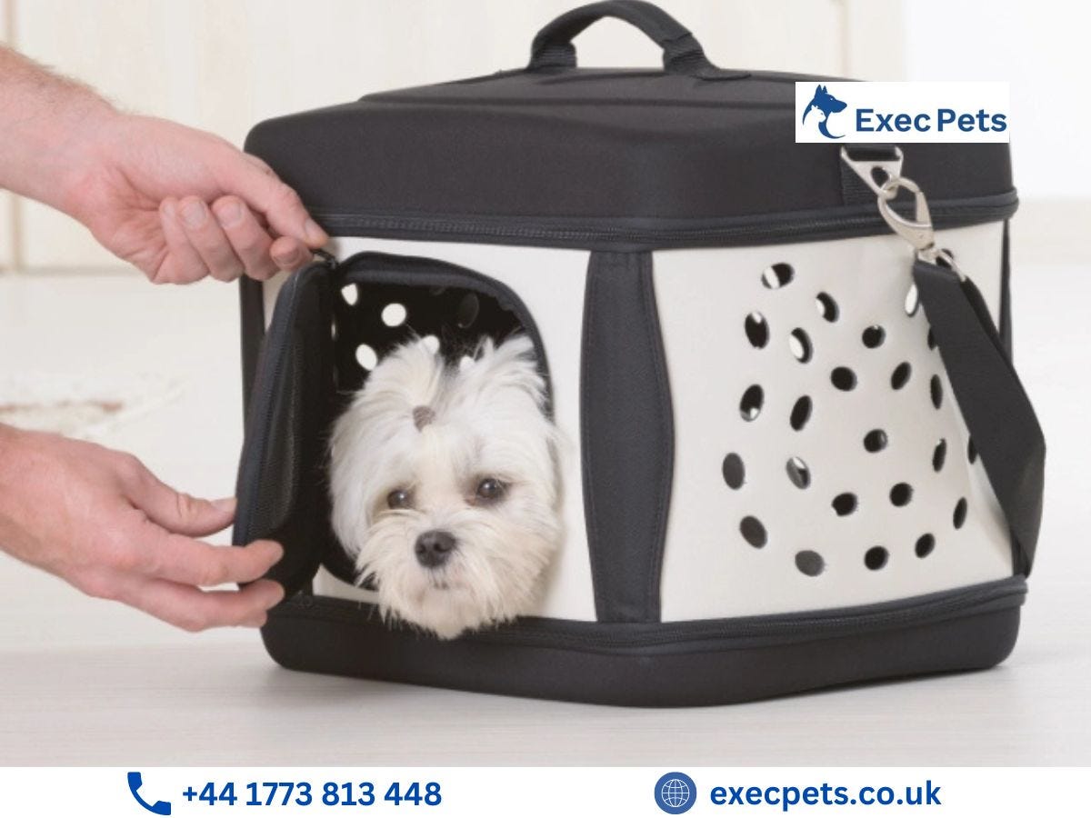 Essential Guide to Pet Transport from Europe to the UK by Exec Pets
