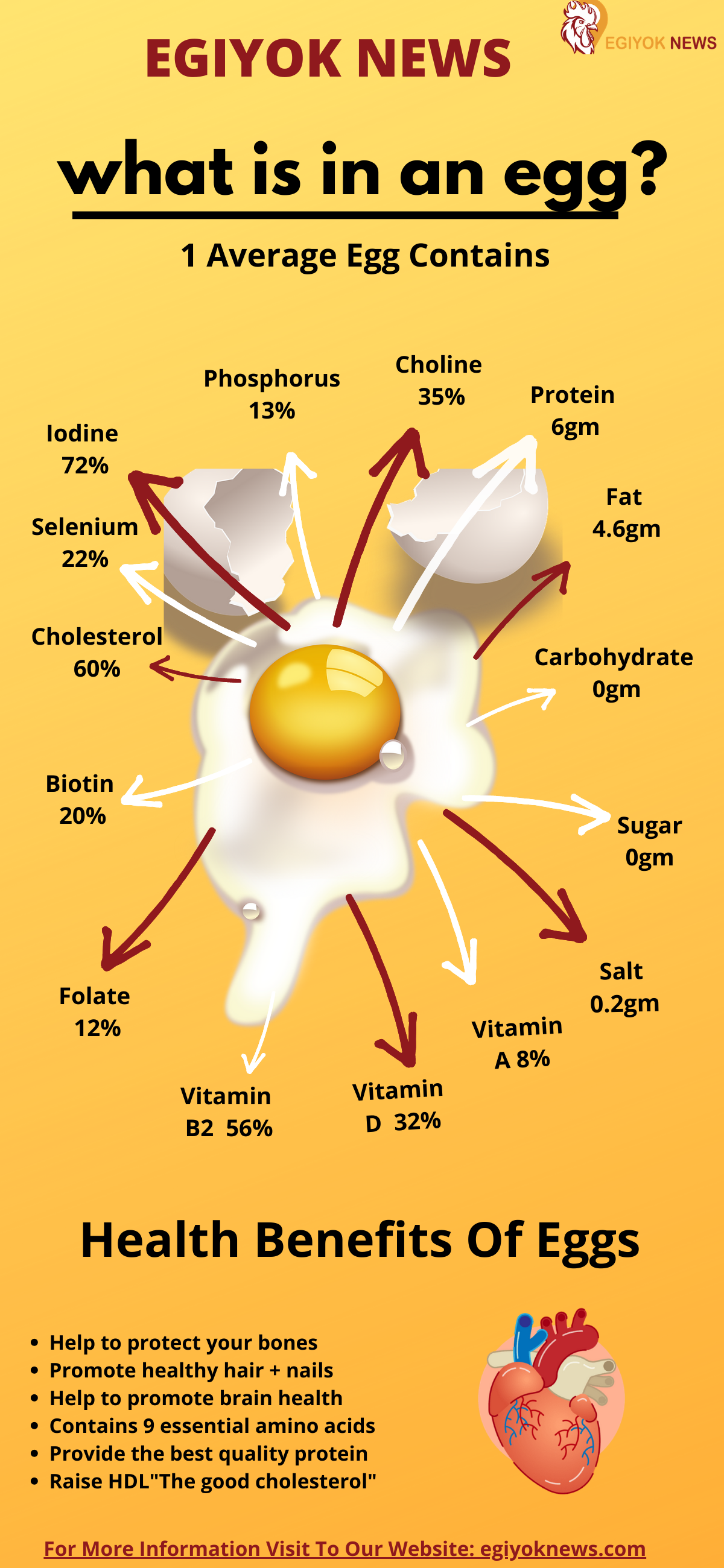 Health Benefits of Eggs egiyoknews Medium