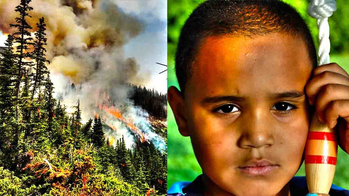 How many fires are burning in Canada right now? by Farnoosh Torabi