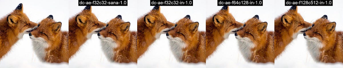 Understanding NVIDIA’s Sana. Part 1: Deep Compression Autoencoder… | by ... image.