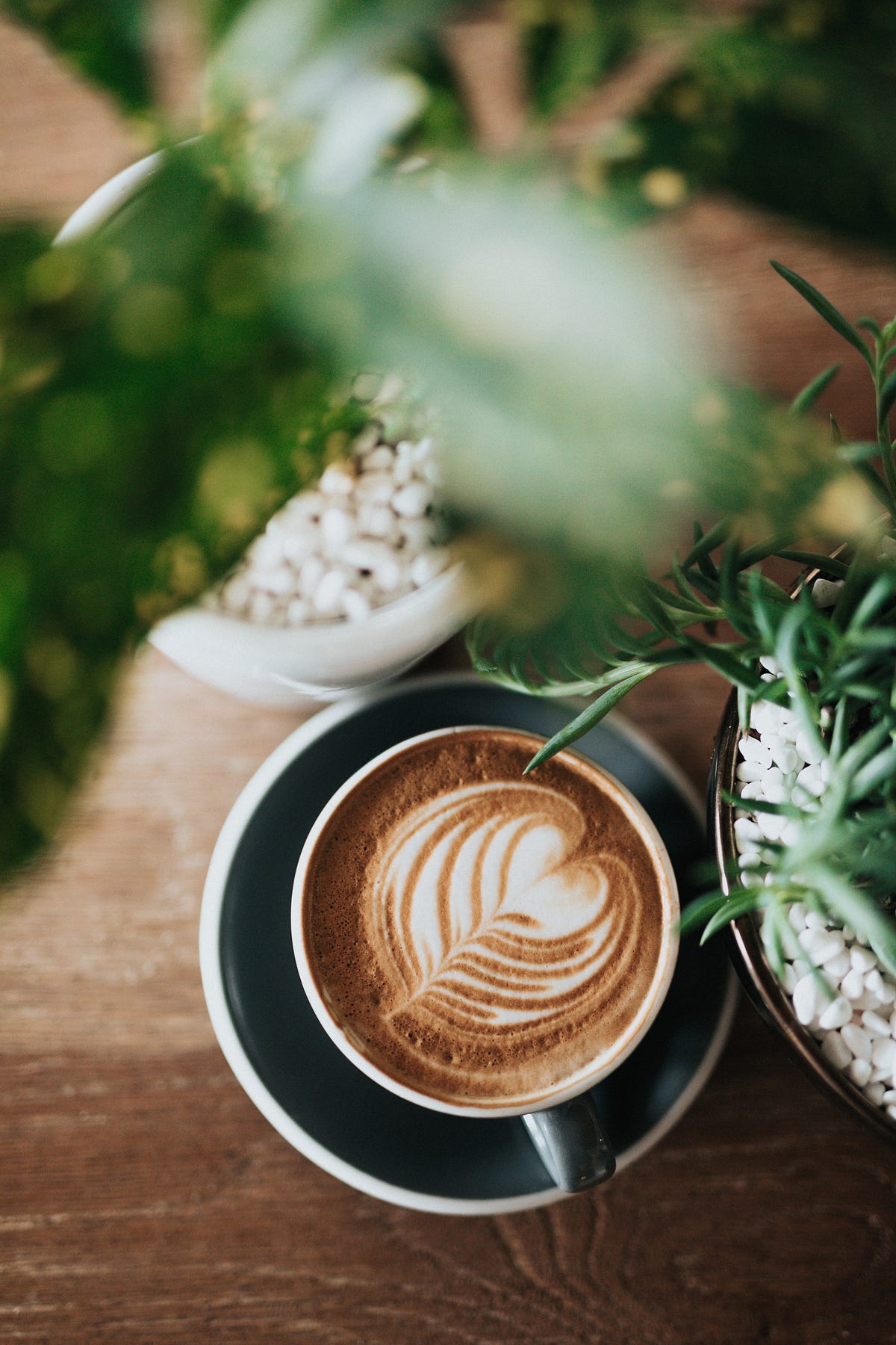 Cappuccino Coffee Pictures  Download Free Images on Unsplash