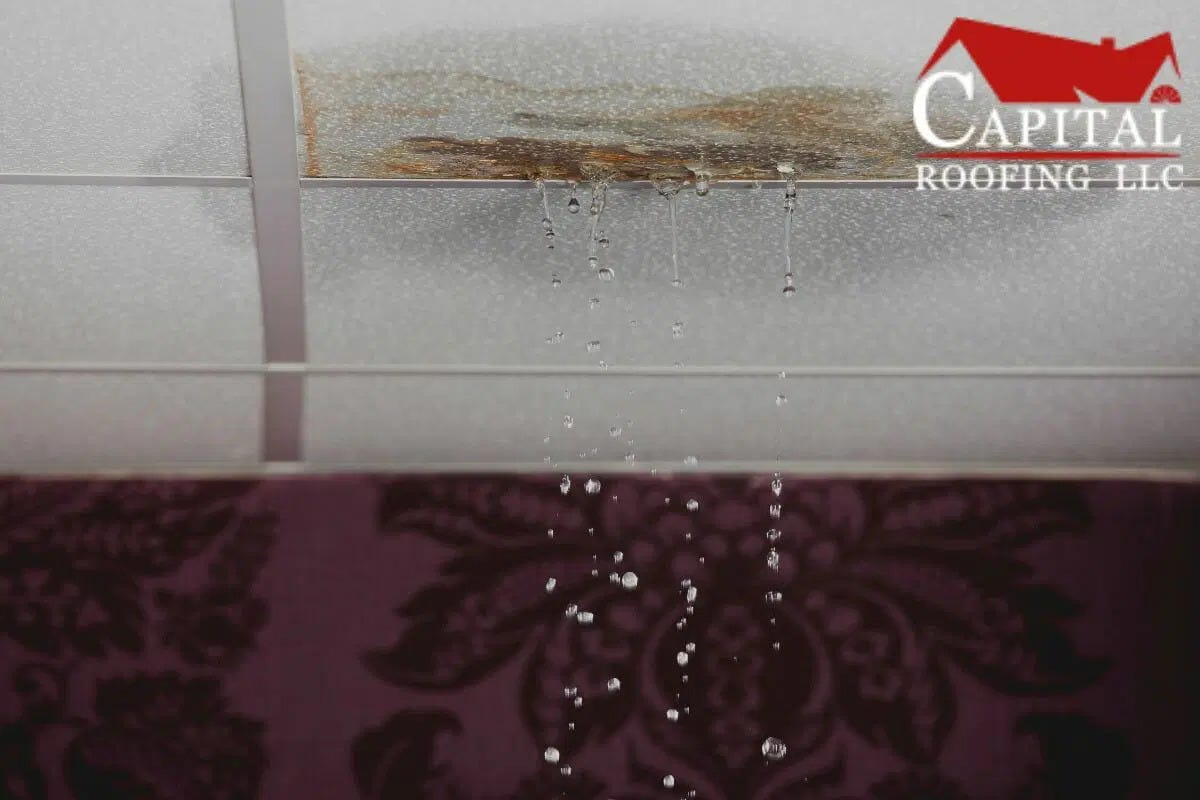 Why Does My Roof Only Leak Sometimes? Capital Roofing Medium